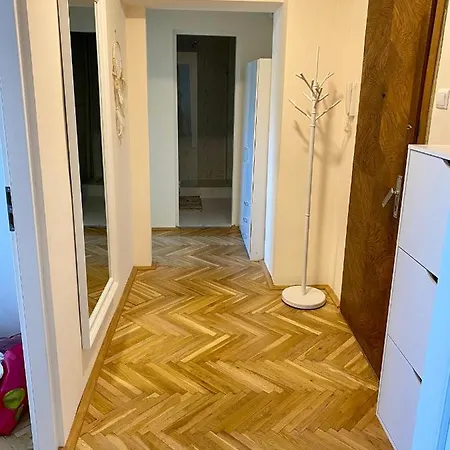 Bright Stylish Apartment In The City Centre Τιμισοάρα
